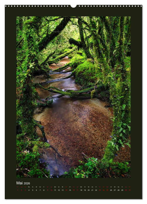 Patagonien: Sehnsuchtsziel am Ende der Welt (CALVENDO Premium Wandkalender 2026)