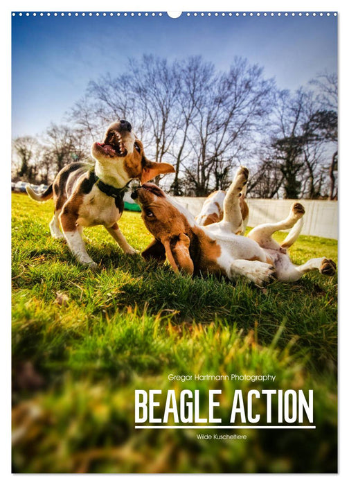 Beagle Action - Wilde Kuscheltiere (CALVENDO Wandkalender 2026)