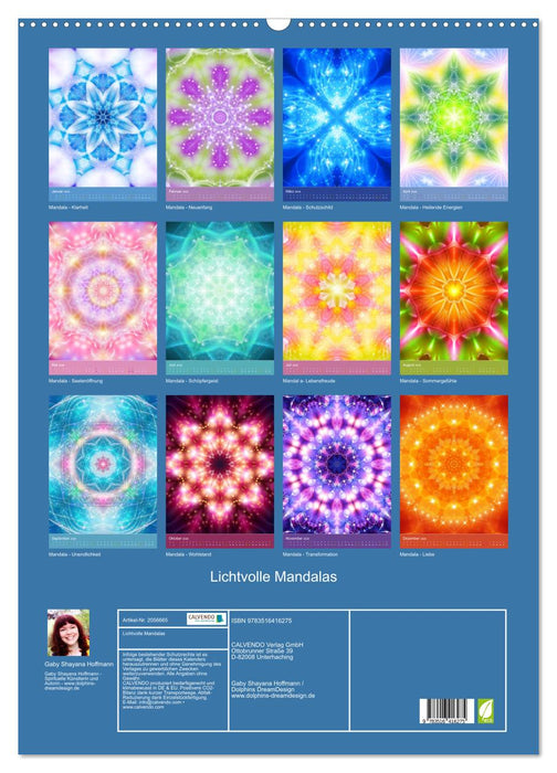 Lichtvolle Mandalas (CALVENDO Wandkalender 2026)
