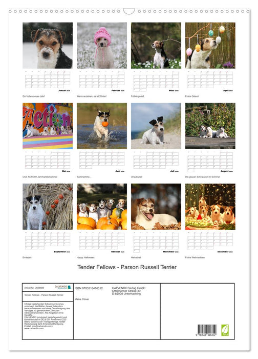 Tender Fellows - Parson Russell Terrier (CALVENDO Wandkalender 2026)