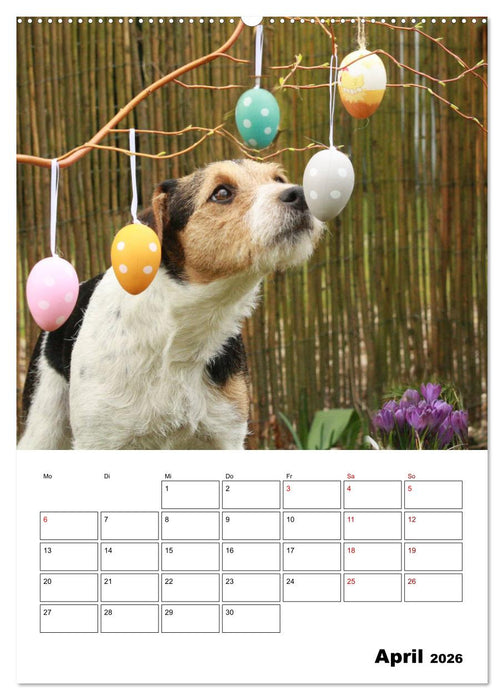Tender Fellows - Parson Russell Terrier (CALVENDO Wandkalender 2026)
