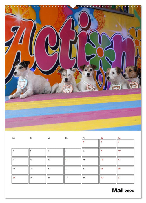Tender Fellows - Parson Russell Terrier (CALVENDO Wandkalender 2026)