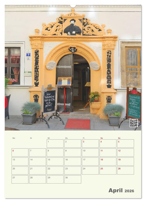 Türen und Portale in Pirna (CALVENDO Premium Wandkalender 2026)