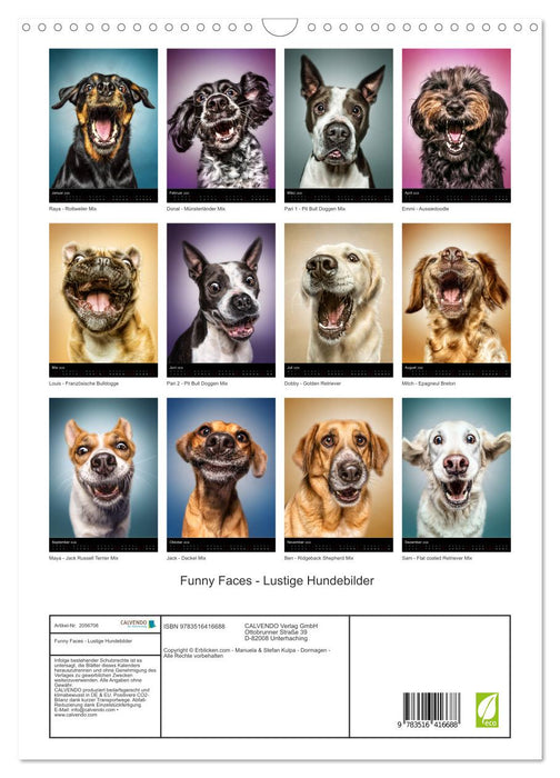 Funny Faces - Lustige Hundebilder (CALVENDO Wandkalender 2026)