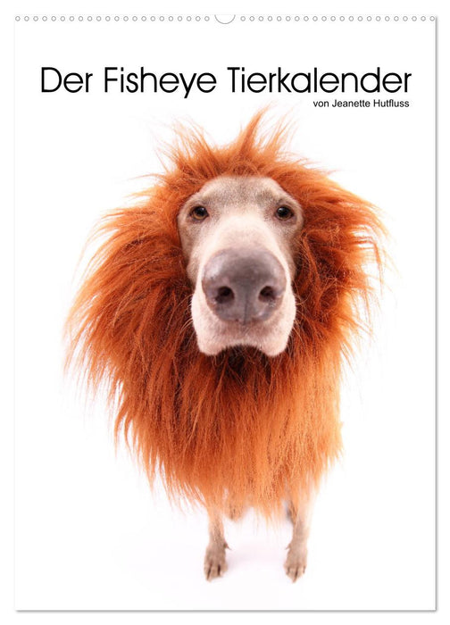 Der Fisheye Tiere Kalender (CALVENDO Wandkalender 2026)