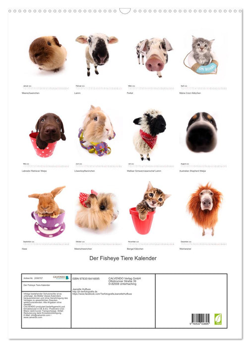Der Fisheye Tiere Kalender (CALVENDO Wandkalender 2026)
