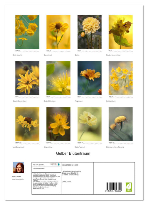 Gelber Blütentraum (CALVENDO Premium Wandkalender 2026)