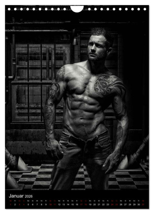 Master - Body ...trainierte Körper (CALVENDO Wandkalender 2026)