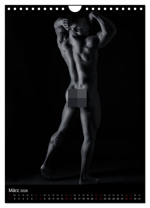 Master - Body ...trainierte Körper (CALVENDO Wandkalender 2026)