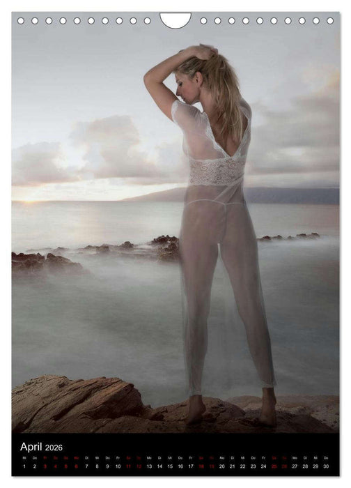 Master - Body ...trainierte Körper (CALVENDO Wandkalender 2026)