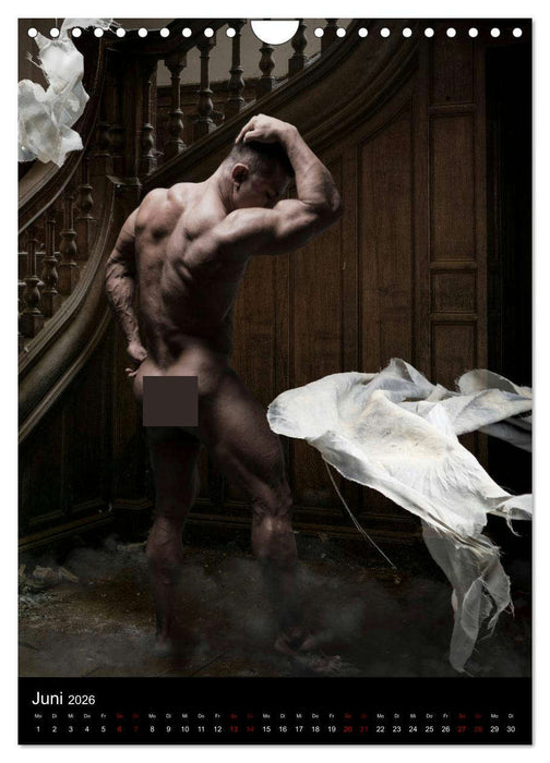 Master - Body ...trainierte Körper (CALVENDO Wandkalender 2026)