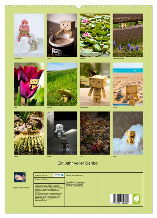 Ein Jahr voller Danbo (CALVENDO Premium Wandkalender 2026)