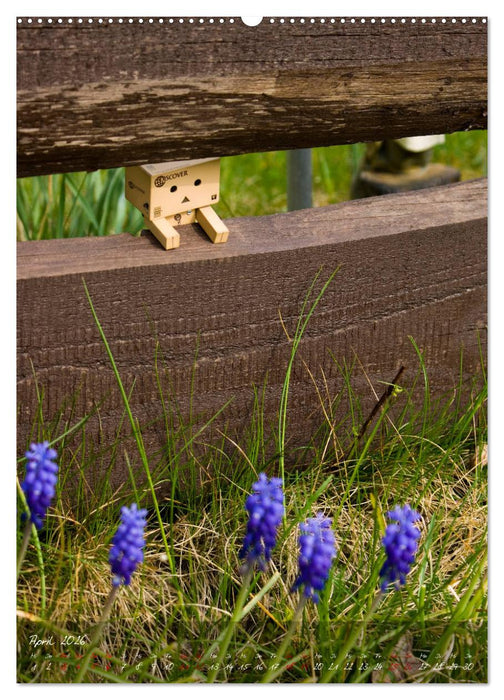 Ein Jahr voller Danbo (CALVENDO Premium Wandkalender 2026)