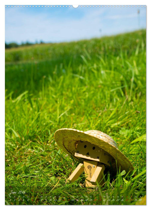 Ein Jahr voller Danbo (CALVENDO Premium Wandkalender 2026)
