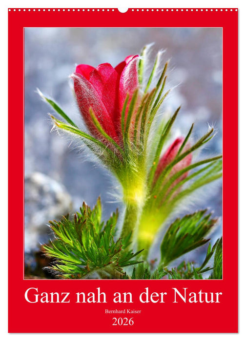 Ganz nah an der Natur (CALVENDO Wandkalender 2026)