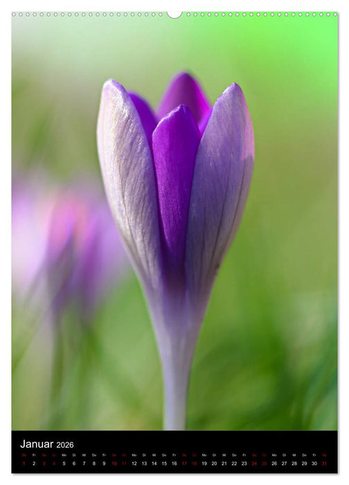 Ganz nah an der Natur (CALVENDO Wandkalender 2026)