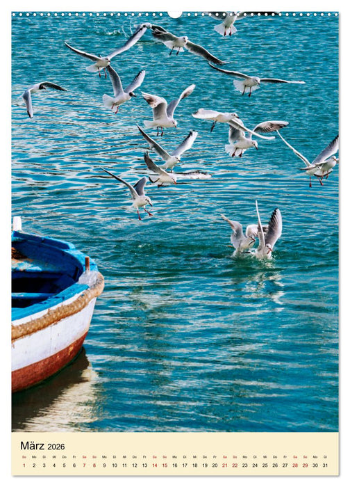 Mein Sizilien erleben (CALVENDO Premium Wandkalender 2026)