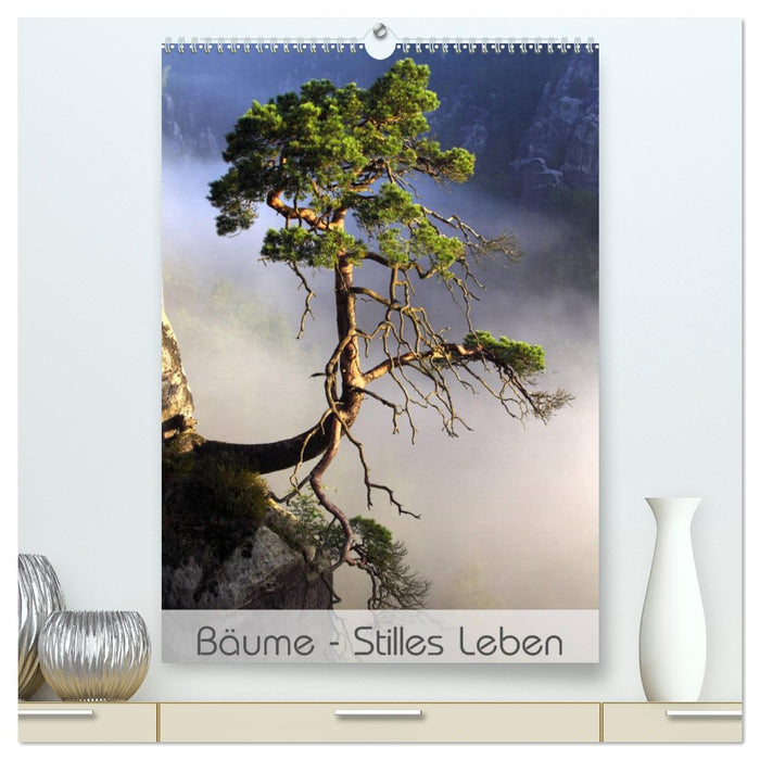 Bäume - Stilles Leben (CALVENDO Premium Wandkalender 2026)