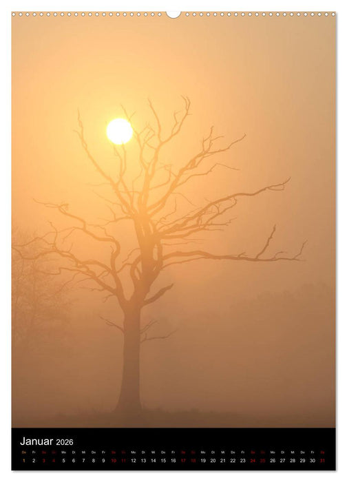 Bäume - Stilles Leben (CALVENDO Premium Wandkalender 2026)