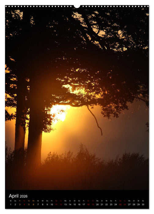 Bäume - Stilles Leben (CALVENDO Premium Wandkalender 2026)