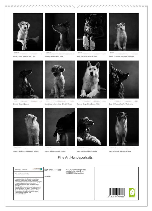 Fine Art Hundeportraits (CALVENDO Premium Wandkalender 2026)