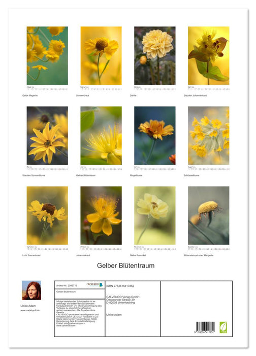 Gelber Blütentraum (CALVENDO Wandkalender 2026)