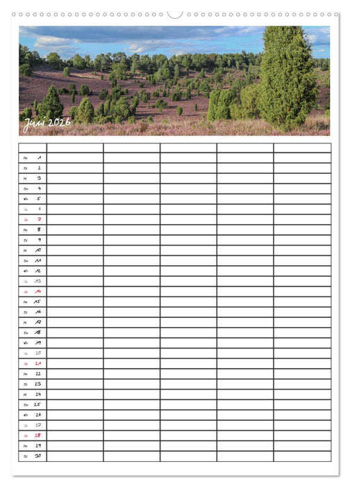 Lüneburger Heide - Faszinierend schön (CALVENDO Premium Wandkalender 2026)