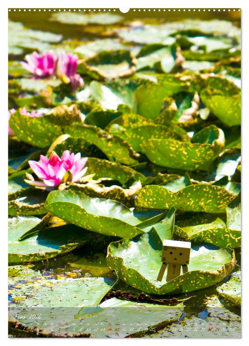 Ein Jahr voller Danbo (CALVENDO Wandkalender 2026)