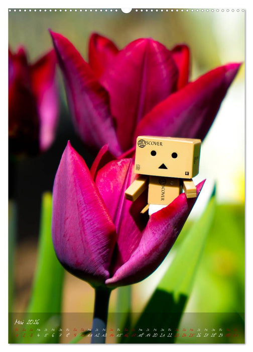 Ein Jahr voller Danbo (CALVENDO Wandkalender 2026)