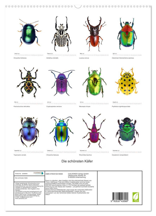 Die schönsten Käfer (CALVENDO Premium Wandkalender 2026)