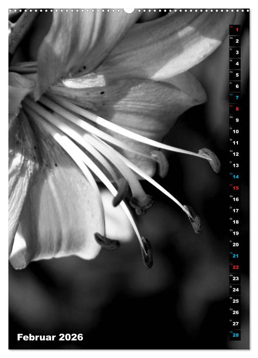 Blumige Graustufen - Schwarz und Weiß (CALVENDO Premium Wandkalender 2026)
