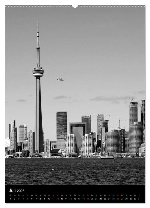 F A R B L O S - Schwarzweiß Fotografien (CALVENDO Premium Wandkalender 2026)