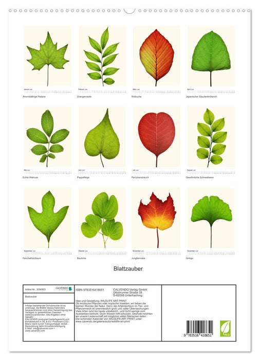 Blattzauber (CALVENDO Premium Wandkalender 2026)