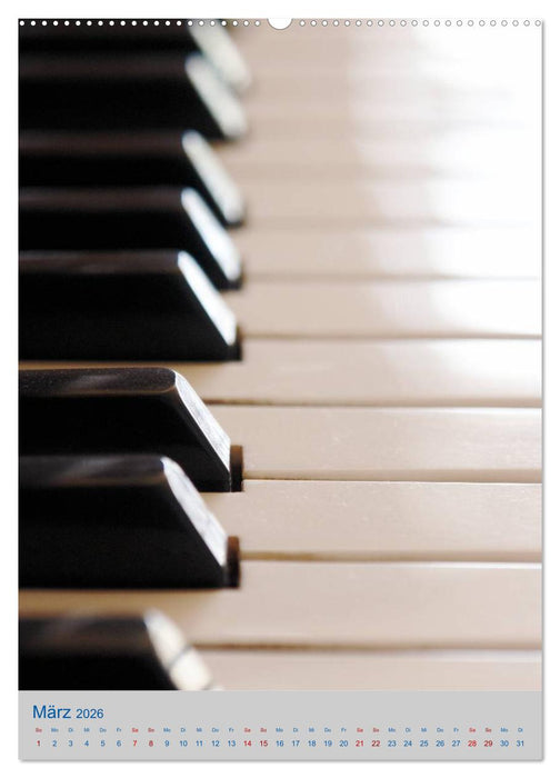 Instrumente - Musikalisch durch das Jahr (CALVENDO Premium Wandkalender 2026)