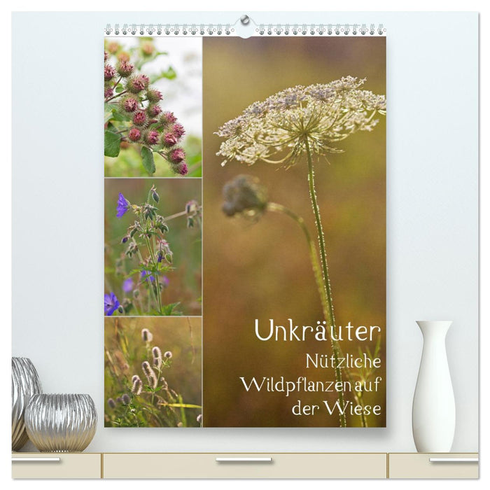 Unkräuter - Nützliche Wildpflanzen auf der Wiese (CALVENDO Premium Wandkalender 2026)