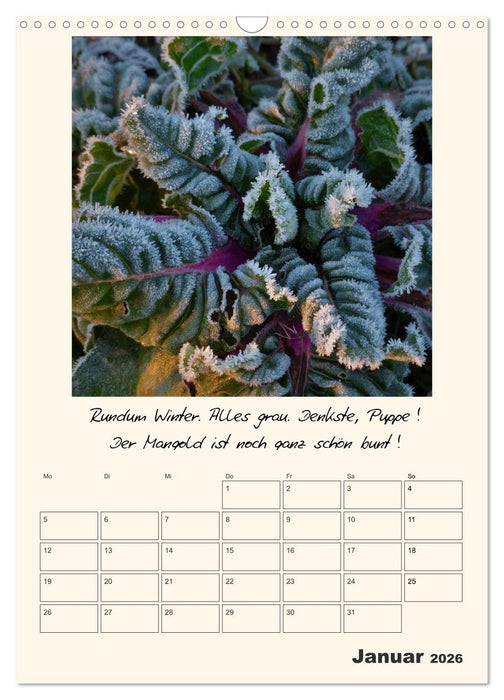 Gartengeschichten (CALVENDO Wandkalender 2026)
