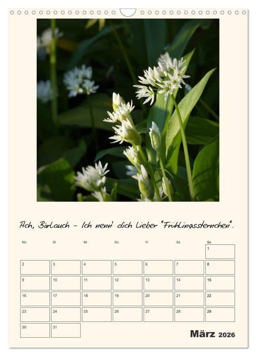 Gartengeschichten (CALVENDO Wandkalender 2026)