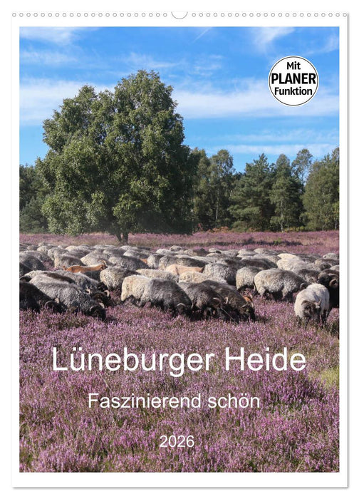 Lüneburger Heide - Faszinierend schön (CALVENDO Wandkalender 2026)