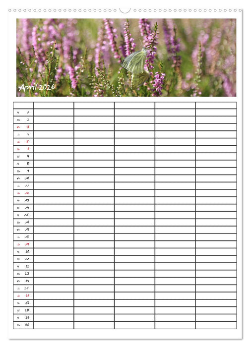 Lüneburger Heide - Faszinierend schön (CALVENDO Wandkalender 2026)