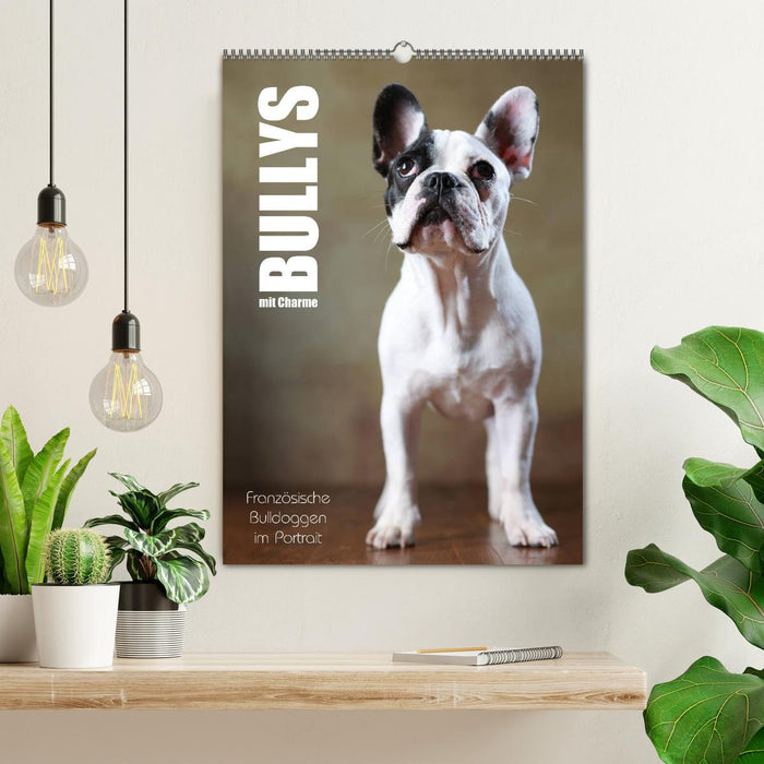 Bullys mit Charme - Französische Bulldoggen im Portrait (CALVENDO Wandkalender 2026)