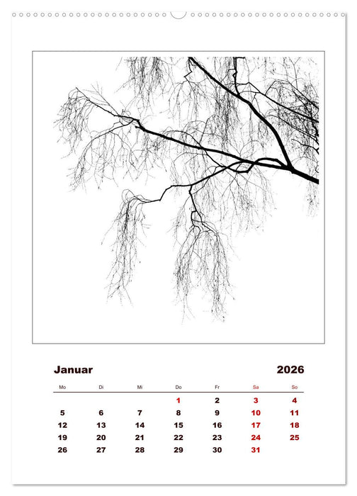 LignoGrafica - Muster und Strukturen der Bäume (CALVENDO Premium Wandkalender 2026)