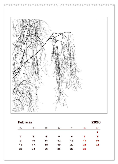 LignoGrafica - Muster und Strukturen der Bäume (CALVENDO Premium Wandkalender 2026)