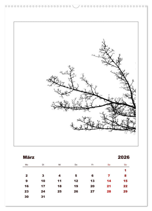 LignoGrafica - Muster und Strukturen der Bäume (CALVENDO Premium Wandkalender 2026)
