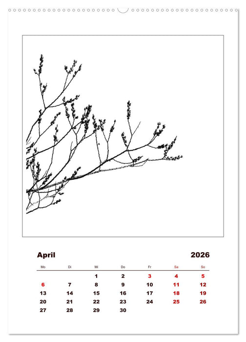 LignoGrafica - Muster und Strukturen der Bäume (CALVENDO Premium Wandkalender 2026)