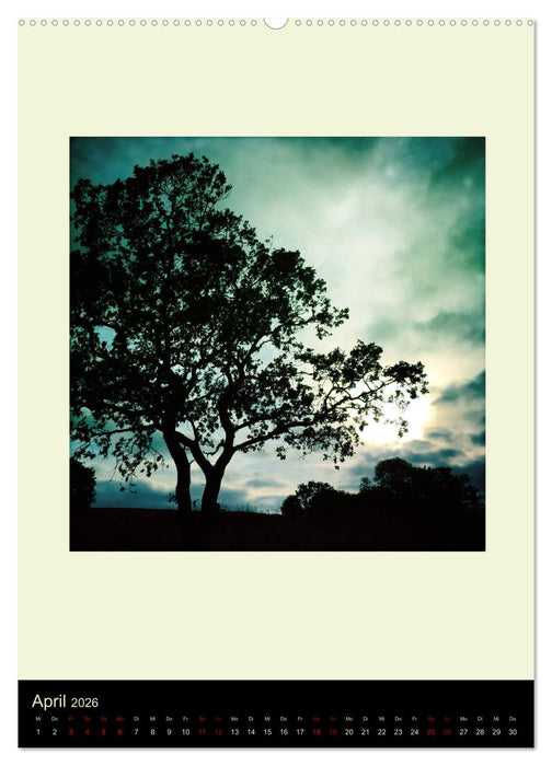 Insel für die Seele Bornholm (CALVENDO Premium Wandkalender 2026)