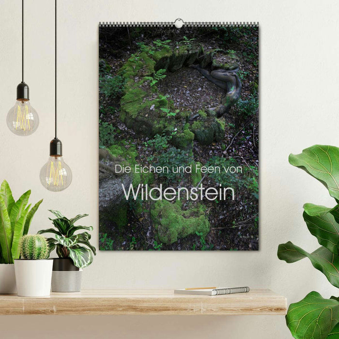 Die Eichen und Feen von Wildenstein (CALVENDO Wandkalender 2026)