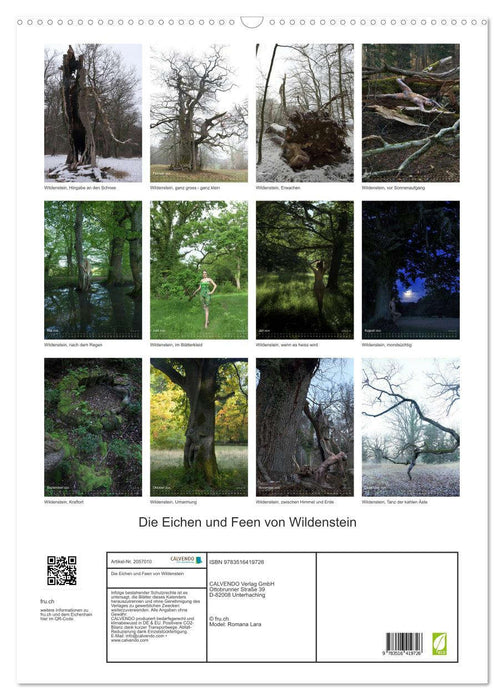 Die Eichen und Feen von Wildenstein (CALVENDO Wandkalender 2026)