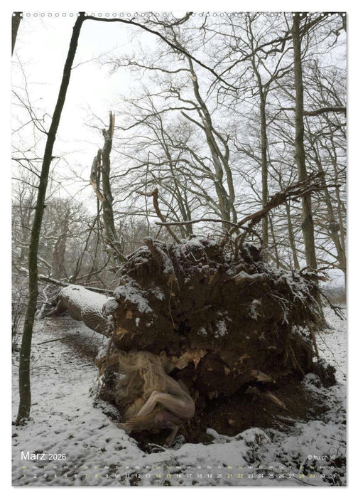 Die Eichen und Feen von Wildenstein (CALVENDO Wandkalender 2026)