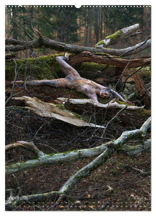 Die Eichen und Feen von Wildenstein (CALVENDO Wandkalender 2026)