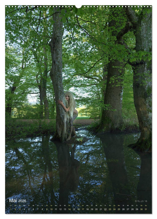 Die Eichen und Feen von Wildenstein (CALVENDO Wandkalender 2026)
